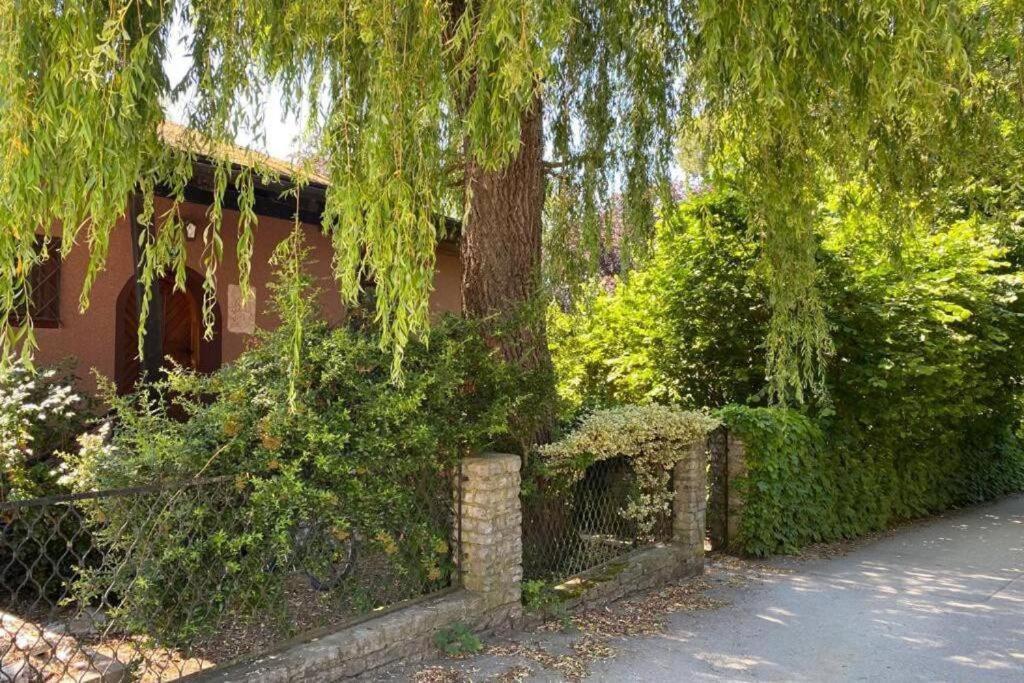Gartenwohnung 5 Min. Zur Stadt Hagenau Extérieur photo